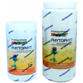 PHYTOPHYT